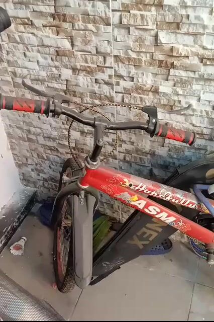 Xe đạp trẻ em màu Đỏ còn mới. Mua bán Xe đạp tại Thành phố Thủ Đức Tp Hồ Chí Minh được đăng bởi Le hình 1
