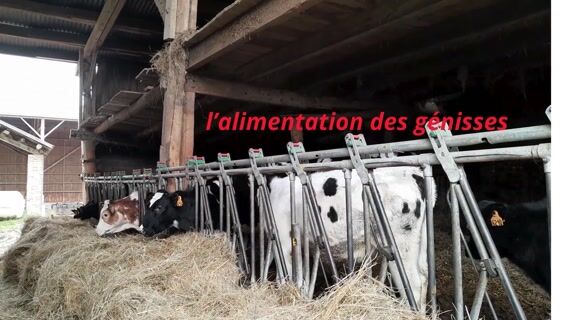 L'agriculture sous toutes ses formes