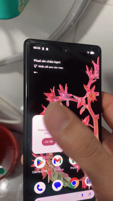 Google Pixel 6 256GB Đen. Mua bán Điện thoại tại Thị xã Bến Cát Bình Dương được đăng bởi đam mê công nghệ hình 1