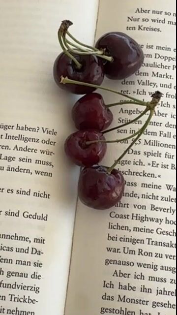 Ein fesselnder Thriller, der mich in die Welt zweier Frauen entführte, welche nicht immer die sind, die sie vorgeben zu sein