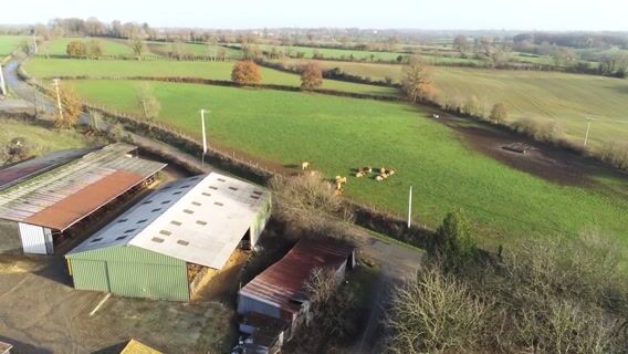 Mon métier passion: éleveur de bovins