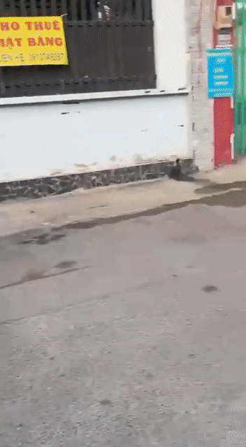 Cho thuê Văn phòng, Mặt bằng kinh doanh Thành phố Thủ Đức Tp Hồ Chí Minh diện tích 150 m² giá 25 triệu/tháng hình 2
