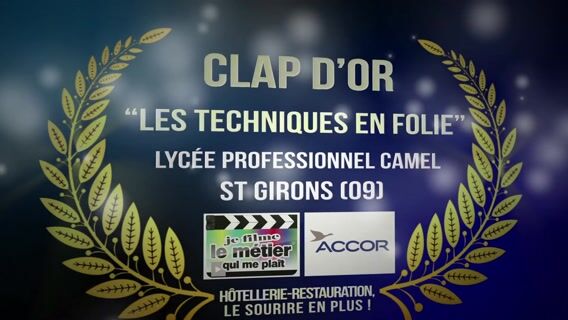 LES TECHNIQUES EN FOLIE
