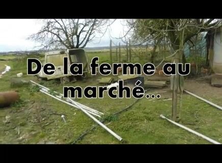 De la ferme au marché...