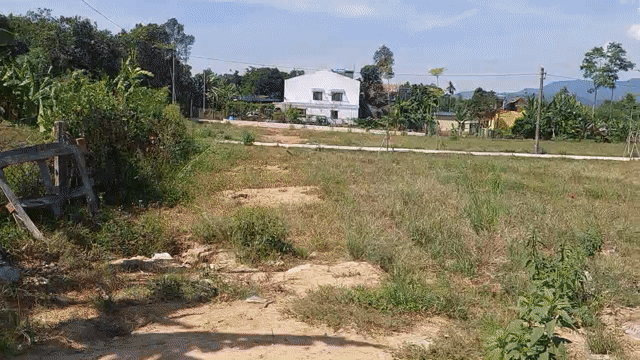 Mua bán Đất Huyện Hòa Vang Đà Nẵng diện tích 413 m² giá 500 triệu