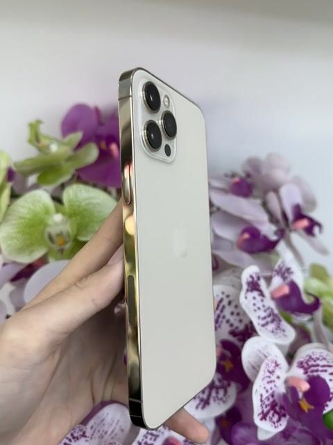 Apple iPhone 12 Pro Max Vàng 512GB 99%. Mua bán Điện thoại tại Thành phố Thủ Dầu Một Bình Dương được đăng bởi Anh Táo Store hình 1