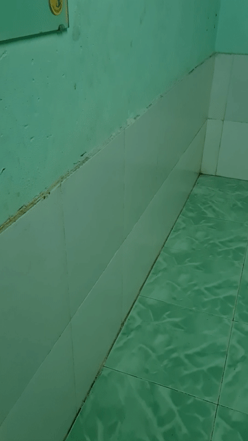 Cho thuê Phòng trọ Quận 12 Tp Hồ Chí Minh diện tích 15 m² giá 1,1 triệu/tháng