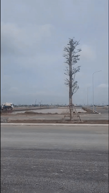 Mua bán Nhà ở Vinhomes SaiGon Park Huyện Hóc Môn Tp Hồ Chí Minh diện tích 80 m² giá 6,2 tỷ