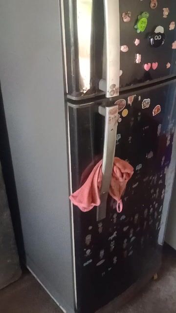 Tủ lạnh Sanyo 207 Lít màu Đen. Mua bán Tủ lạnh tại Huyện Gò Công Đông Tiền Giang được đăng bởi nam  hình 1