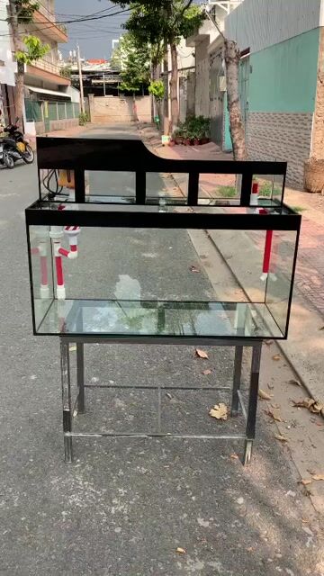 HỒ CÁ CẢNH , BỂ CÁ CẢNH GIÁ RẺ. Mua bán Phụ kiện, Thức ăn, Dịch vụ tại Quận Tân Bình Tp Hồ Chí Minh được đăng bởi Đinh Đức  hình 1