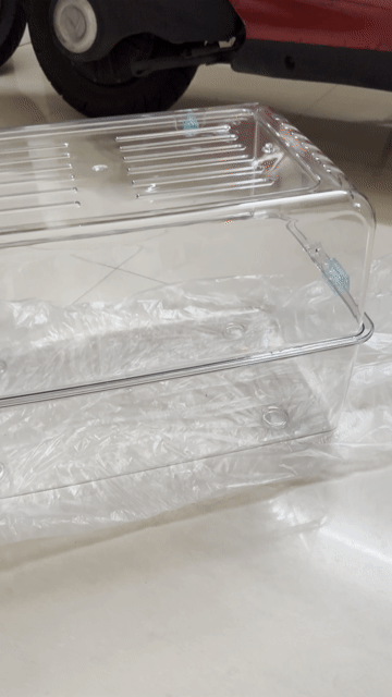 Lồng chuồng hamster Mica trong suốt còn mới. Mua bán Phụ kiện, Thức ăn, Dịch vụ tại Quận Bình Tân Tp Hồ Chí Minh được đăng bởi phụng nhi hình 1