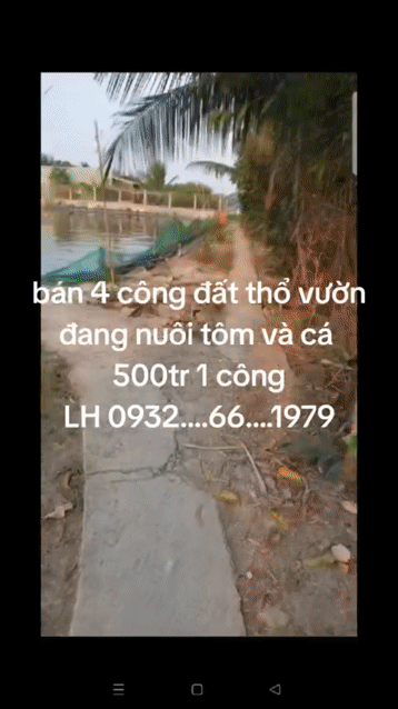 Mua bán Đất Huyện Tân Trụ Long An diện tích 4000 m² giá 2 tỷ