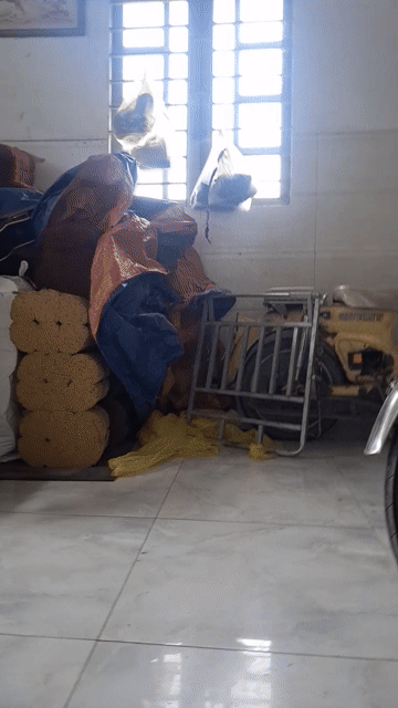 Honda Cub 50 50cc Vàng. Mua bán Xe máy tại Huyện Đức Hòa Long An được đăng bởi Duong minh thien hình 1