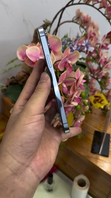 Apple iPhone 13 Pro Max 256GB Xanh. Mua bán Điện thoại tại Thành phố Buôn Ma Thuột Đắk Lắk được đăng bởi Nguyễn đức Tâm hình 1