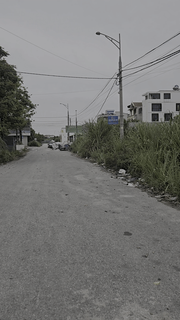 Mua bán Đất Thị xã Duy Tiên Hà Nam diện tích 250 m² giá 8 tỷ