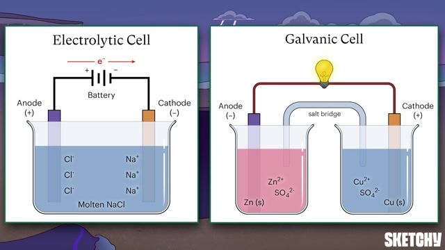 Electrolytic Cell