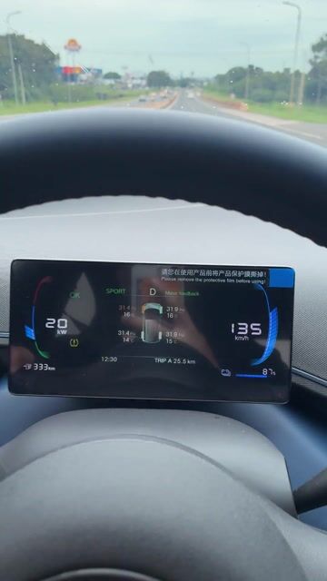 Top speed byd dolphin mini