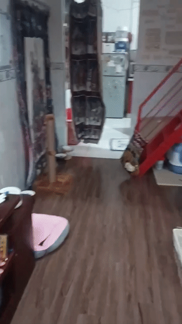 Mua bán Căn hộ Chung cư Quận 3 Tp Hồ Chí Minh diện tích 16.28 m² giá 2,5 tỷ
