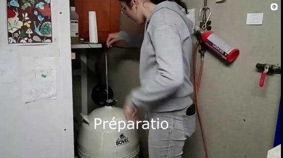 De l'insémination au vêlage