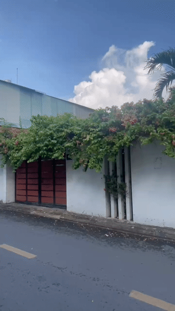 Mua bán Nhà ở Thành phố Thủ Đức Tp Hồ Chí Minh diện tích 442.2998 m² giá 34,5 tỷ
