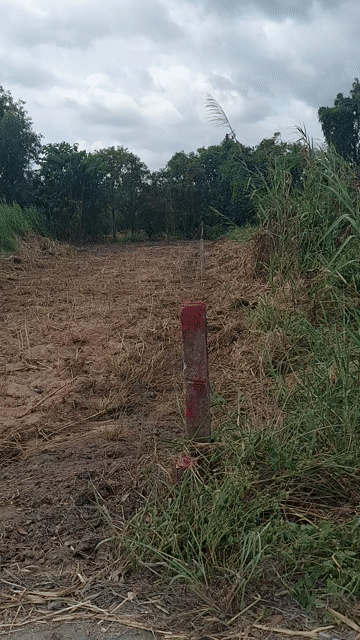 Mua bán Đất Huyện Thủ Thừa Long An diện tích 200.6999 m² giá 600 triệu