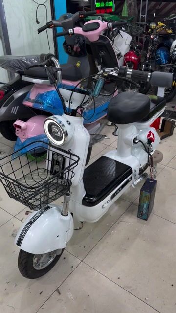 HSDEXP FVM L8 ĐẸP 90% CÒN SỔ BẢO HÀNH. Mua bán Xe đạp tại Quận Bình Thạnh Tp Hồ Chí Minh được đăng bởi THUCŨĐỔIMỚIXEĐIỆN hình 1