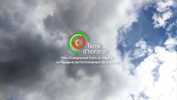 CACES Conduite d'engins de chantier