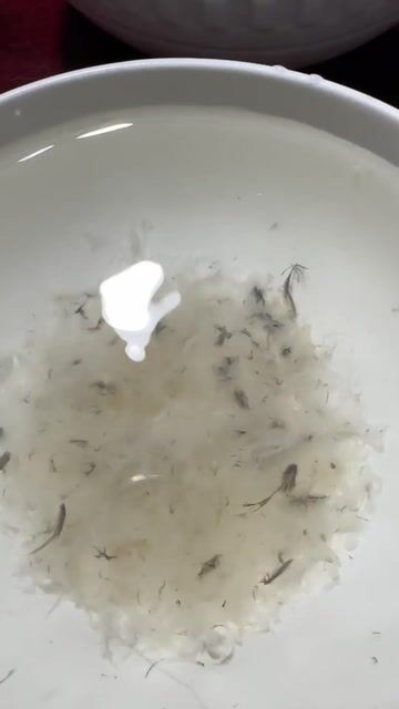 Tổ yến Nhà nuôi. Mua bán Đồ ăn, thực phẩm và các loại khác tại Huyện U Minh Cà Mau được đăng bởi Tran Phạm offline hình 1