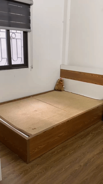 Cho thuê Nhà ở Quận Hoàng Mai Hà Nội diện tích 38 m² giá 13 triệu/tháng