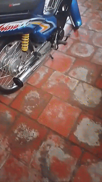 Honda Wave màu Xanh. Mua bán Xe máy tại Huyện Chợ Lách Bến Tre được đăng bởi Lặng Thầm hình 1