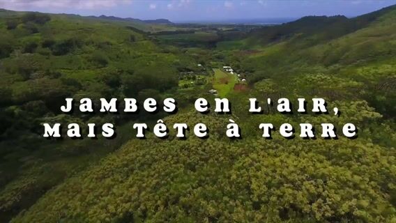 Jambes en l'air, mais tête à terre