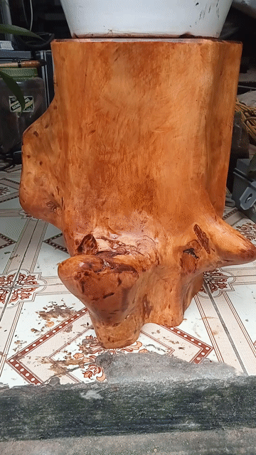 Đôn gỗ Nhãn và 2 chậu cây cảnh. Mua bán Cây cảnh, đồ trang trí tại Quận Cầu Giấy Hà Nội được đăng bởi Dương xuân Trường hình 1