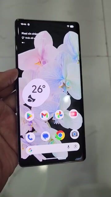 Google Pixel 6 Pro 128GB Trắng. Mua bán Điện thoại tại Thành phố Bạc Liêu Bạc Liêu được đăng bởi Cậu Hai hình 1