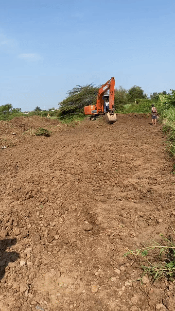 Mua bán Đất Huyện Gò Công Đông Tiền Giang diện tích 350 m² giá 210 triệu