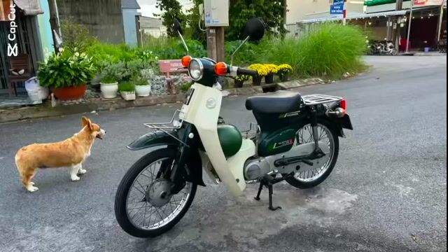 Honda Cub 50 Trắng kem đã sử dụng. Mua bán Xe máy tại Huyện Tân Hiệp Kiên Giang được đăng bởi tien hình 1