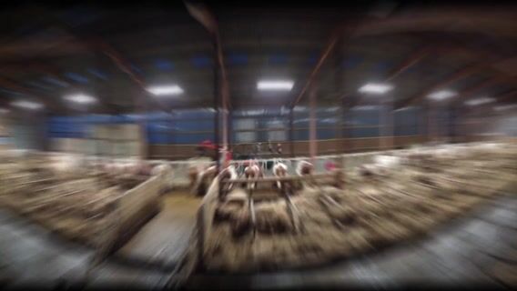 L'agriculture avec Damien