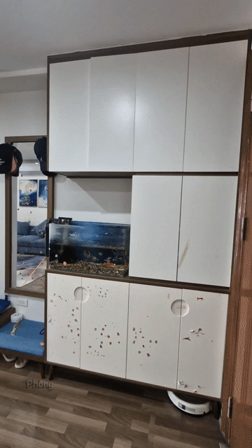 Mua bán Căn hộ Chung cư Khu đô thị mới La Khê Quận Hà Đông Hà Nội diện tích 103.0998 m² giá 5,9 tỷ