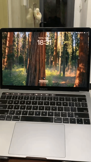 Apple MacBook Pro i7 13.3 inch 16GB/500GB. Mua bán Laptop tại Quận 5 Tp Hồ Chí Minh được đăng bởi Nguyễn Cao Nhân hình 1