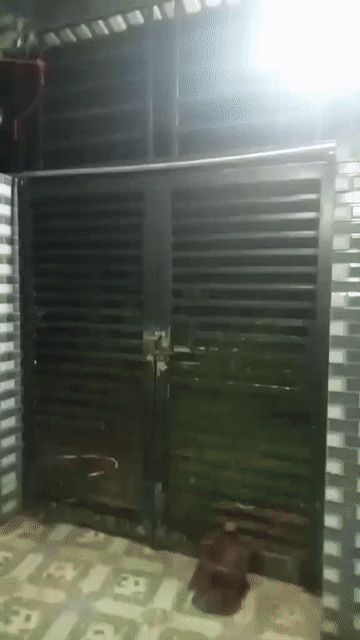 Mua bán Nhà ở Huyện Trảng Bom Đồng Nai diện tích 105 m² giá 500 triệu