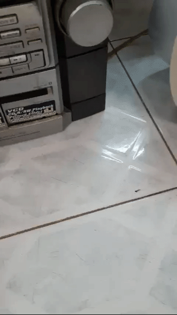 Loa ốp trần OBT OBT-611 Trắng. Mua bán Tivi, Âm thanh tại Quận Phú Nhuận Tp Hồ Chí Minh được đăng bởi Hòa Lê 8 hình 1