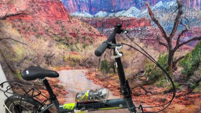 Xe đạp gấp TRINX 20 inch Xám. Mua bán Xe đạp tại Quận Tân Bình Tp Hồ Chí Minh được đăng bởi Bbb hình 1