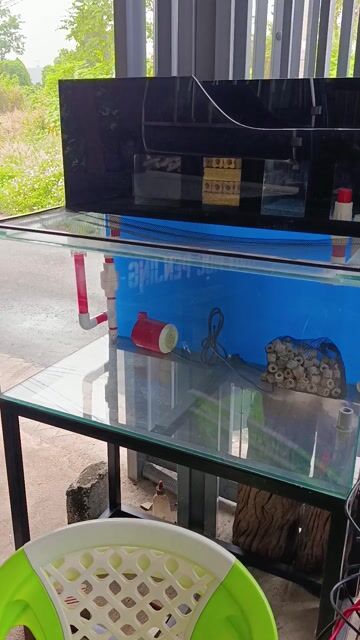 Hồ cá cảnh 80cm Kính siêu trong. Mua bán Phụ kiện, Thức ăn, Dịch vụ tại Thị xã Phú Mỹ Bà Rịa - Vũng Tàu được đăng bởi Pets  hình 1