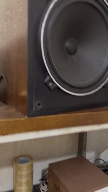Bộ âm thanh Bose AM-1200 Đen. Mua bán Tivi, Âm thanh tại Quận Bình Tân Tp Hồ Chí Minh được đăng bởi Đặng Quốc Khánh hình 1