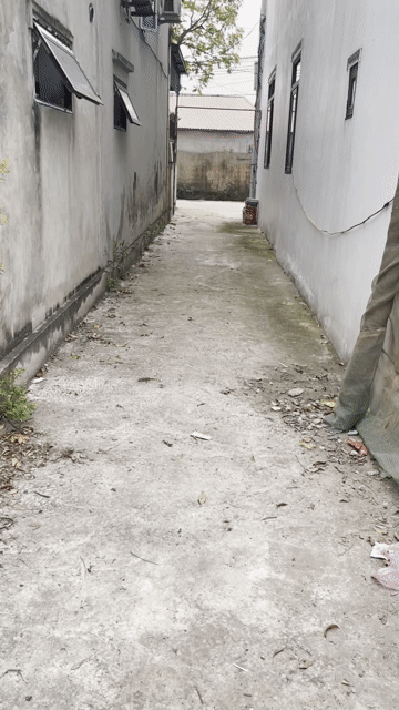 Mua bán Đất Huyện Thường Tín Hà Nội diện tích 81.3 m² giá 5,6 tỷ