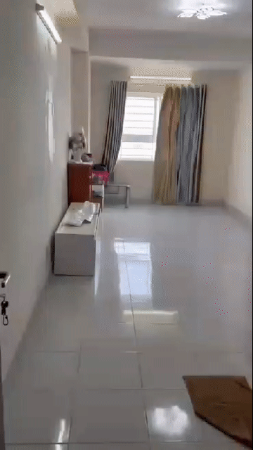 Cho thuê Căn hộ Chung cư HQC 35 Hồ Học Lãm Quận Bình Tân Tp Hồ Chí Minh diện tích 65 m² giá 6,5 triệu/tháng