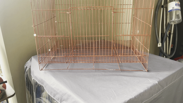 Lồng chim kim loại 40cm. Mua bán Phụ kiện, Thức ăn, Dịch vụ tại Quận Tân Bình Tp Hồ Chí Minh được đăng bởi Thông Vũ hình 1