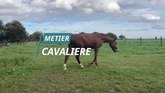 Le métier de Cavalière