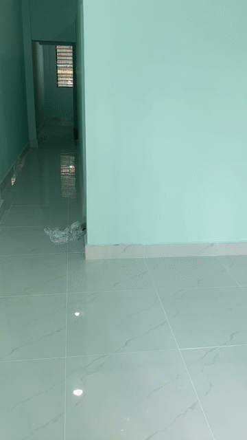 Cho thuê Nhà ở Quận Tân Phú Tp Hồ Chí Minh diện tích 50 m² giá 10 triệu/tháng