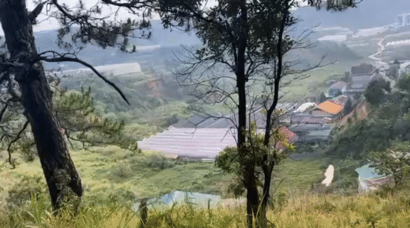 Mua bán Đất Thành phố Đà Lạt Lâm Đồng diện tích 301 m² giá 3,762 tỷ