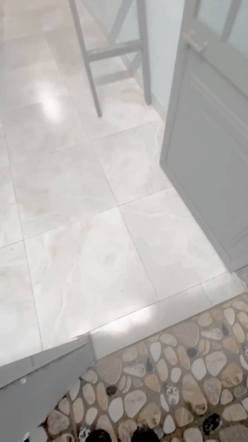 Cho thuê Phòng trọ Quận Phú Nhuận Tp Hồ Chí Minh diện tích 25 m² giá 3,7 triệu/tháng